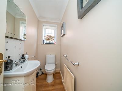 Picture 13